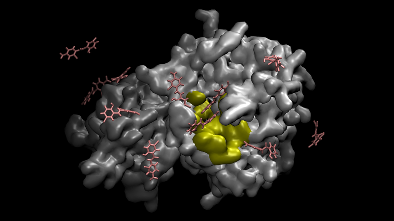 Cygnusで行った分子動力学シミュレーションの一例
