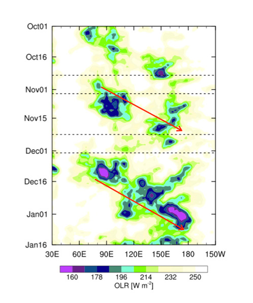 赤道域で平均した、雲活動の指標となる外向き長波放射の時間変化の例